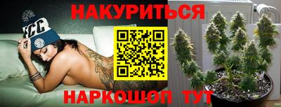 мдпв Новодвинск