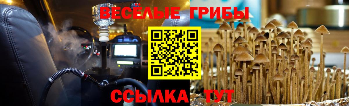 Туапсе  Галлюциногенные грибы Magic Shrooms  Вход с VPN 