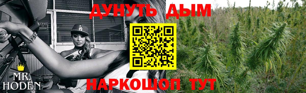 Бошки Шишки ГИДРОПОН Туапсе